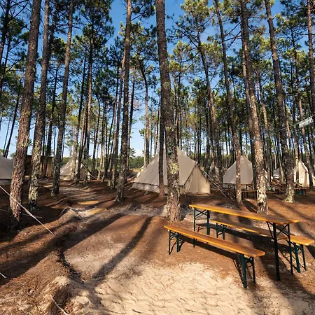 Kampaoh Vagueira Campo de lujo